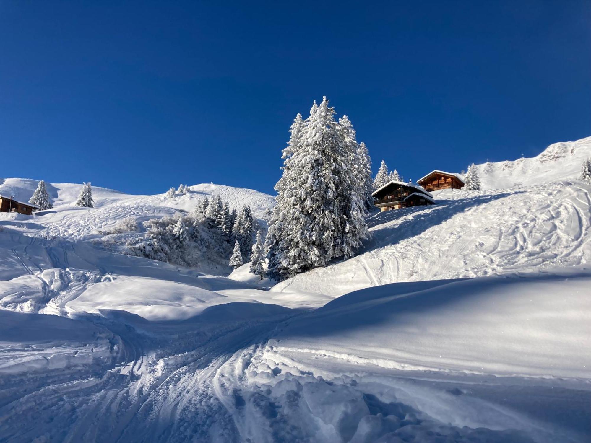 B&B Chalet Rey-Bellet Les Crosets Exterior photo