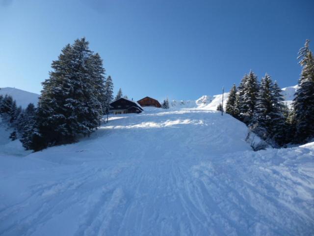 B&B Chalet Rey-Bellet Les Crosets Exterior photo